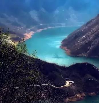 大山羔羊逃生